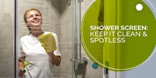 Glass Shower Screen Keep It Spotless