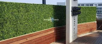 Artificial Hedges In Outdoor Areas