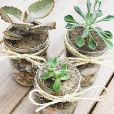 Amazing Diy Mason Jar Succulents