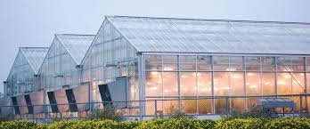 Growspan Greenhouse Structures