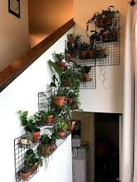 Plant Decor Indoor House Plants Decor