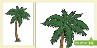 Palm Tree Template Summer Displays