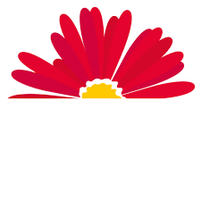 News Archives Gerbera Garden Design