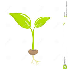 Plant Icon Plant Seedlings Ilration