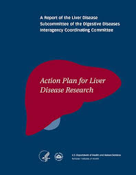 Action Plan For Liver Disease Research