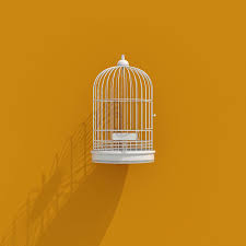 3d Bird Cage Icon On Orange Background