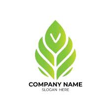 Green Leaf Icon Vector Ilrations