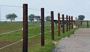 Rcc Pole Agriculture Electric Fence