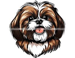 Shih Tzu Smiling Dog Cute Puppy Head