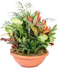 Blais Flowers Garden Center