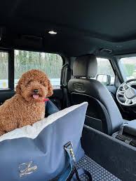 Designer Big Dog Car Seat Xl Dog