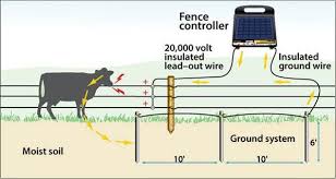 Ground Rod Installation Grounding