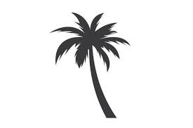 Palm Tree Icon Vector Ilration