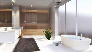 Opaque Glass For Privacy In The Bathroom