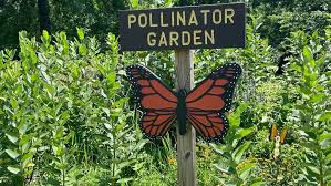 New Pollinator Garden Helping Monarch
