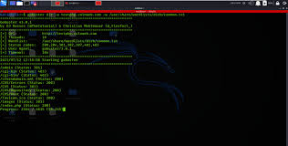 Gobuster Penetration Testing Tools In