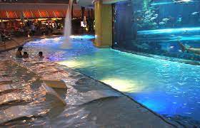Amazing Hotel Swimming Pools