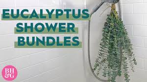 Eucalyptus Shower Bundles Are An Easy