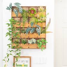 Plant Cabinet Wall Hanging Decoration