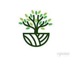 Tree Logo Icon Template Design Garden