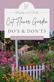 Cut Flower Garden Dos And Don Ts For