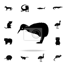 Kiwi Bird Icon Detailed Set Of