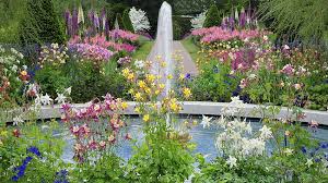 Flower Garden Fountain Background