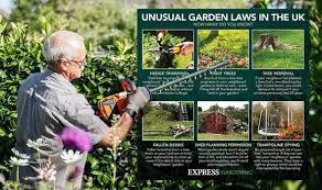 6 Unusual Garden Laws You Might
