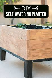 Diy Self Watering Planter How To