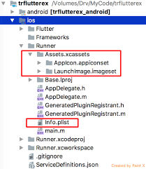 flutter app folder structure