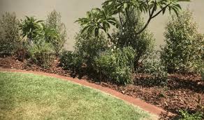 What S The Best Mulch For Gardens
