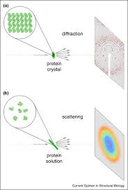 time resolved x ray crystallography
