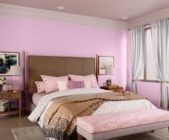 Outdoor Pink 9425 House Wall Painting