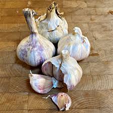 15 Best Tips For Growing Garlic