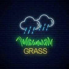 Neon Sign Of Raining Clouds And Plot Of