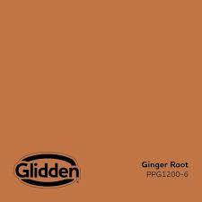 Orange Peach Glidden Premium