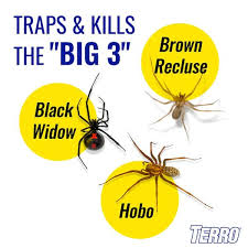 Terro Non Toxic Spider And Insect Trap