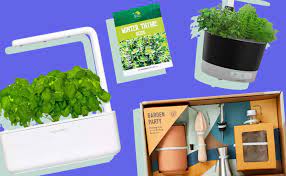 9 Best Indoor Herb Gardens For Growing