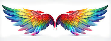 Rainbow Angel Wings Images Browse 3