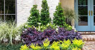 Gardening And Landscaping For Small Spaces