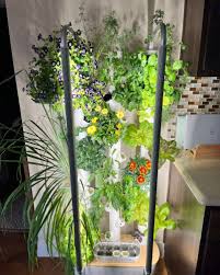 Gardyn Hydroponic Indoor Garden System