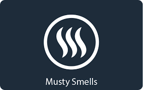 Musty Smells Problems Home Ventilation