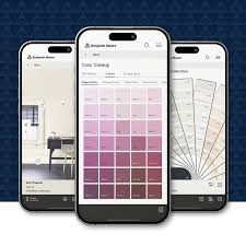 Discover The Color Portfolio App