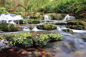 Waterfall Garden Images Free