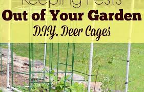 Garden D I Y Deer Cages