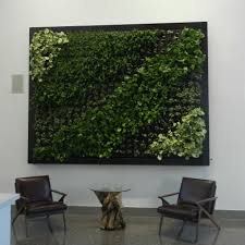 How To Create A Living Wall In Your