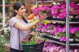 Garden Centers Ratings And Reviews