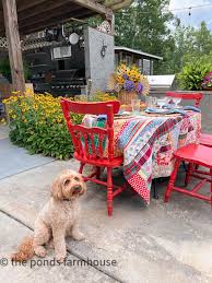 The Best Backyard B B Q Setup And