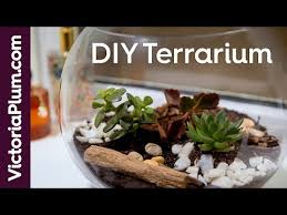 How To Make Your Own Terrarium Craft