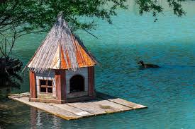 Premium Photo Duck House Floating On